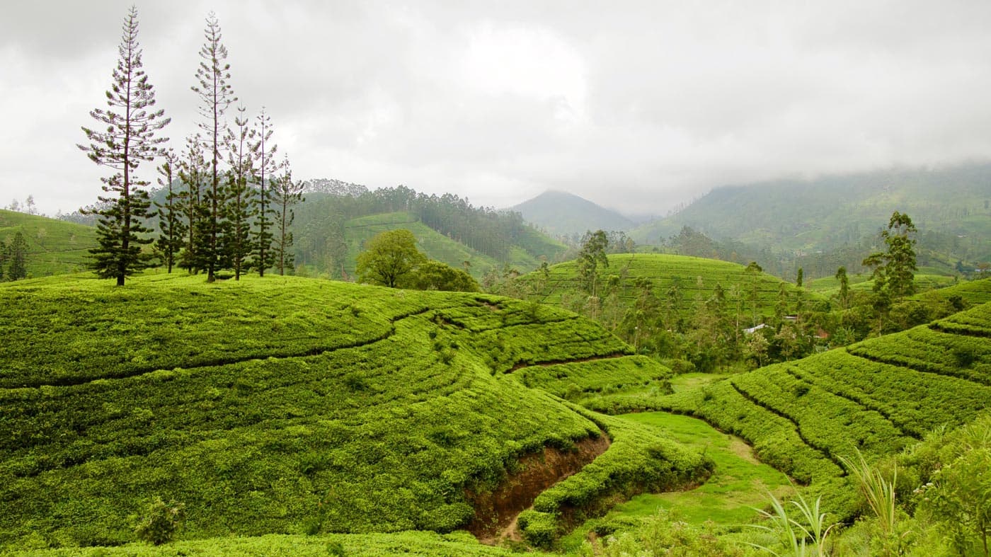 Nuwara Eliya, Hill Country — private tour destination with Kiara Tours